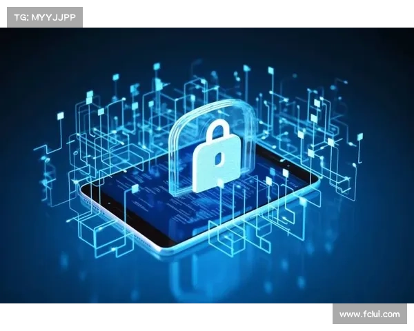 超越VPN:全面保护您的数位足迹的方法 超越VPN:全面保护您的数位足迹的方法