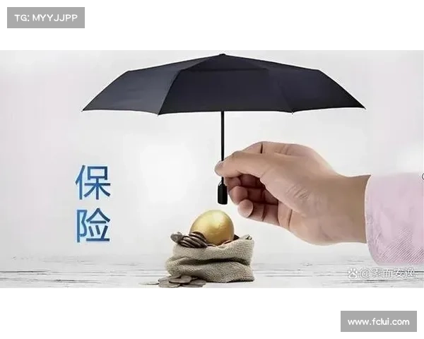 网络保险如何影响风险:上升与经验教训的局限 在线 网络保险如何影响风险:上升与经验教训的局限 在线